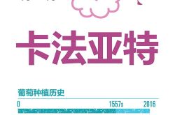 一张图了解明星产区卡法亚特