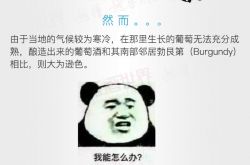 红酒世界连环话：一张图带你读懂独一无二的香槟产区