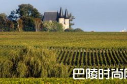2016年份波尔多葡萄酒——凤凰涅槃