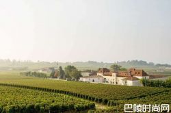 红酒世界2016期酒抢先看：金钟酒庄