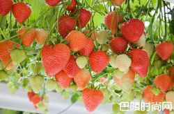 葡萄酒的架构是什么？