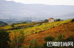 罗讷河谷2016：葡萄酒产量微增，出口量下滑