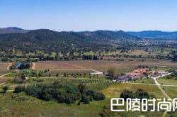 酒业巨头辛明顿首次在杜罗河外收购葡萄园