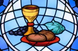 初学者应该知道的法国葡萄酒