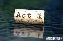 橡木塞的艺术之旅