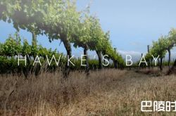 霍克斯湾，新西兰的红色秘密