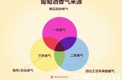 葡萄酒风味的那些事儿