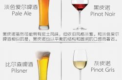 啤酒爱好者的葡萄酒入门指南