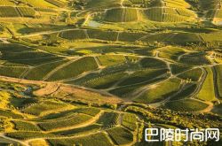 乌拉圭葡萄酒怎么样？