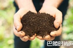 土壤类型与葡萄品种速配指南