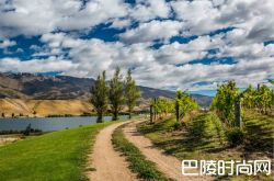 新西兰鲜为人知的佳酿