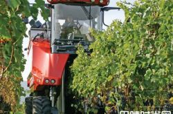 新一代葡萄采收机更趋轻柔