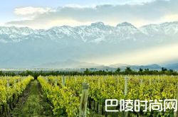 阿根廷2017收获季：低产而优质