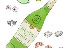 鲜为人知的朗格多克白葡萄酒