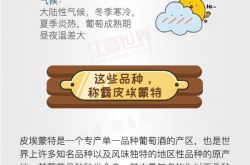 红酒世界连环话：关于皮埃蒙特，你想知道的都在这里