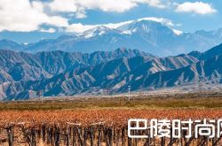 十大葡萄酒旅游新去处，酒粉请收下！