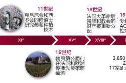勃艮第葡萄酒简史