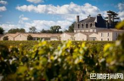 连续7年“性价比之最”，拉古斯2016年好评如潮