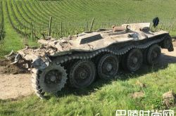 英国一酒庄葡萄园内惊现二战坦克