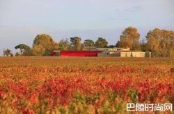 口感丰富，令人沉醉，尽在2016多米尼克