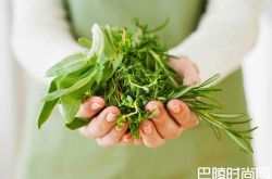 探索葡萄酒中的草本风味