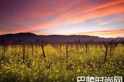 聊聊波尔多酒庄买卖那些事儿