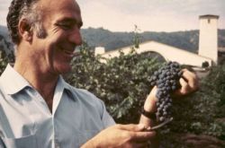 蒙大维家族：家业内传