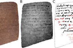 研究发现古代陶片记录葡萄酒供给需求
