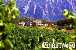 除了里奥哈，西班牙的加泰罗尼亚也产好酒！