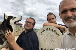 德拉皮尔香槟购下新葡萄园以抵消霜冻造成的损失