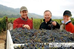 星座集团出资6,000万美元收购沙德酒庄