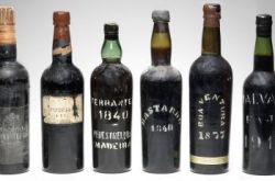 美国博物馆发现一批罕见马德拉