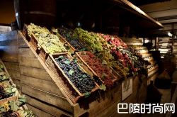 托斯卡纳海岸葡萄酒度假中心开幕