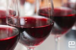 想成为葡萄酒达人？先了解这四种红葡萄酒吧