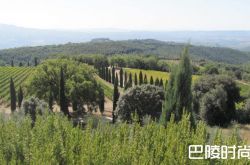 比利时投资商收购意大利波吉安蒂克酒庄