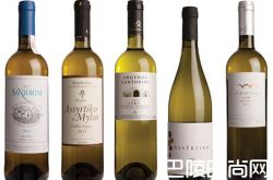 希腊阿斯提可的简易指南