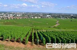 路易亚都酒庄收购桑特奈村名庄