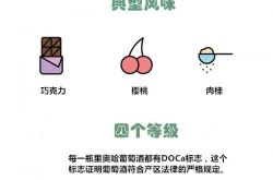 一图览尽里奥哈