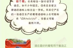 红酒世界连环话：副牌酒知多少？