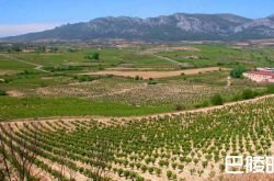 低调而不失腔调，卢埃达你真是美了一生