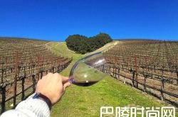 干货：新西兰名庄盘点之南岛篇