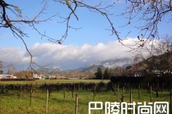 纳帕谷葡萄酒小测