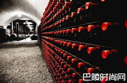 扒一扒常见的奔富BIN系列酒款