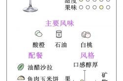 一分钟读懂澳大利亚雷司令