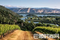 什么影响着葡萄酒的品质？