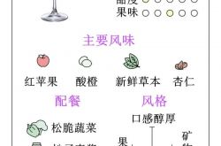意大利柯蒂斯指南