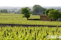 知识小测，你所不知道的波尔多葡萄酒