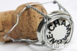 方寸之间的艺术：香槟瓶盖博览会