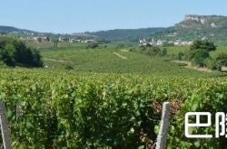 普伊-富赛有望拥有最多22个一级园