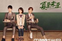 夏至未至小说结局是什么 立夏最后嫁给谁了
